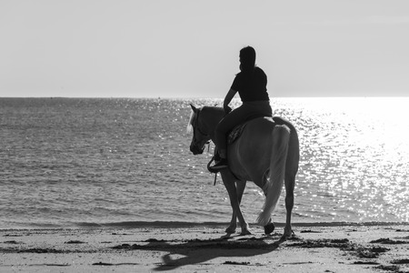 girl riding on haflinger horse in the seaの写真素材