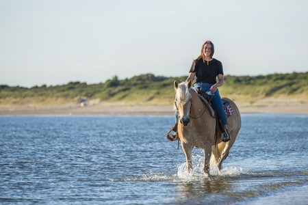 girl riding on haflinger horse in the seaの写真素材