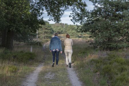 Garderen,Holland,15-july-2019:two woman walking in the national park the hooge veluwe in holland, the park is famous of its wildlife as deer and wild pigsの写真素材