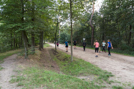 Weetr,Holland,01-sep-2020:people doing workout in the forest outdoor, running and exercises, because of corona indoor is temporarily closedのeditorial素材