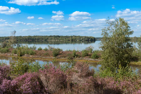 Lake Reindersmeer in De Maasduinen National Park, Limburg, Netherlandsの写真素材