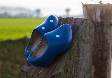 Two blue wooden shoes on a wooden pole at a walking track in holland