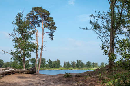 a pond with trees around and blue skyの写真素材