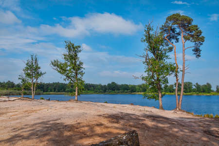 a pond with trees around and blue skyの写真素材