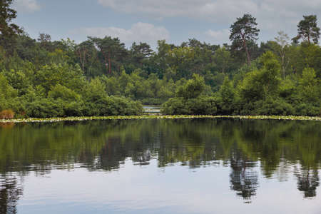 a pond with trees around and blue skyの写真素材