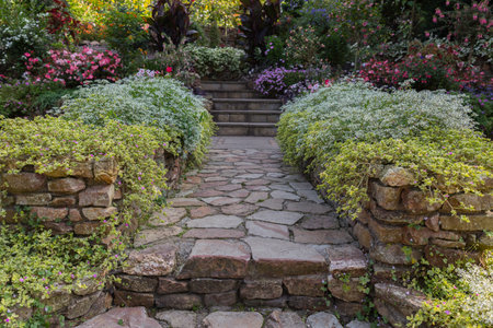 garden with flowers at both sides of the pathの写真素材
