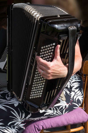 music concert with a woman playing the accordion instrument