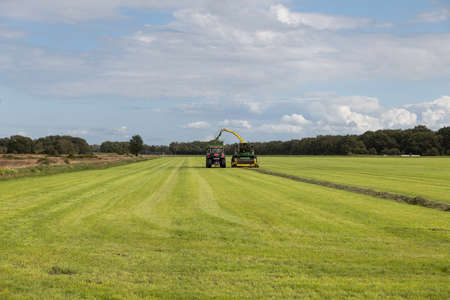 a farmer with tractor is harvesting grassのeditorial素材