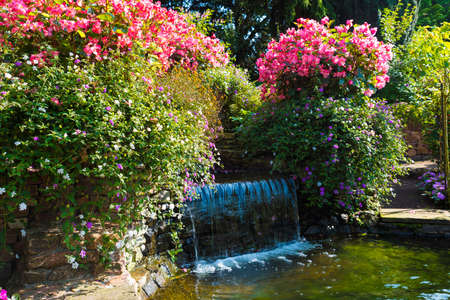 flowers and waterfall in a garden in hollandの写真素材