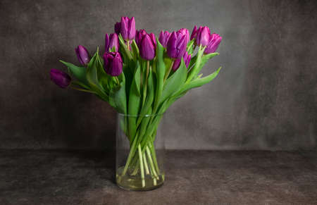 a bouquet purple dutch tulips in a vaseの写真素材