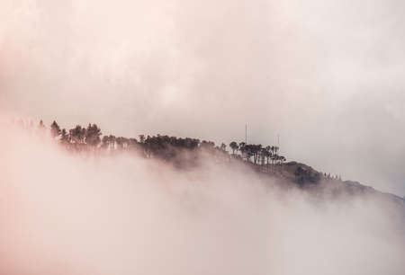 a group of trees in he cloudsの写真素材