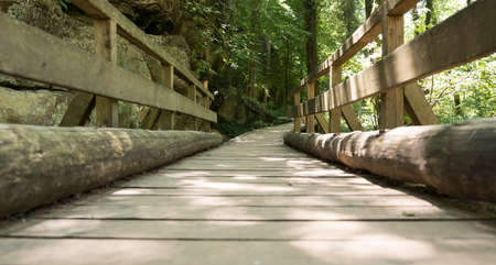 wooden bridge in walking track in luxembourg