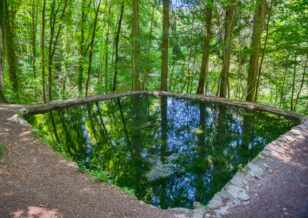 reflections from the green trees in the water in luxembourgの写真素材