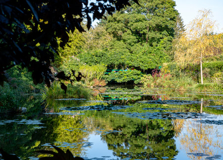 the flowers and plants in the gardens of monet in franceの写真素材