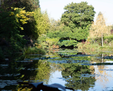 the flowers and plants in the gardens of monet in franceの写真素材