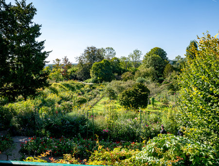 the flowers and plants in the gardens of monet in franceの写真素材