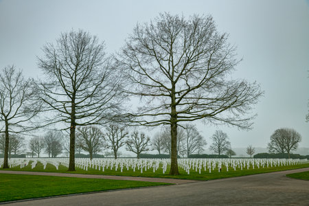 white crosses dutch American Cemetery and Memorial in Margraten,hollandのeditorial素材