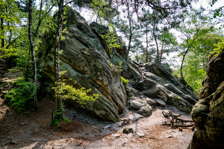 walking track with rocks in germany near tecklenburgの写真素材