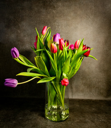 red and purple tulips with green leaf in a vaseの写真素材