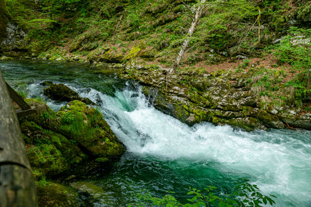 the vintgar gorge in Solvenia, a nature park with waterfalls and green plantsの写真素材
