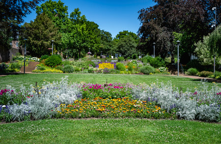 various colors of flowers and plants in a large park in germany in wassenbergの写真素材
