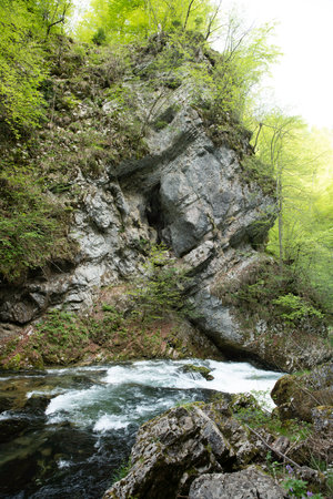 the vintgar gorge in Solvenia, a nature park with waterfalls and green plantsの写真素材