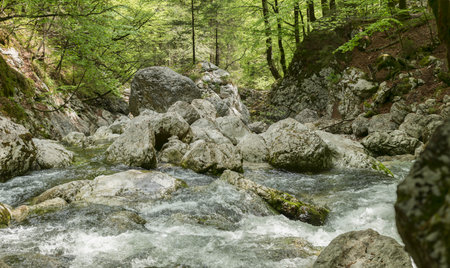 rapids in small river between and rocks in a forestの写真素材
