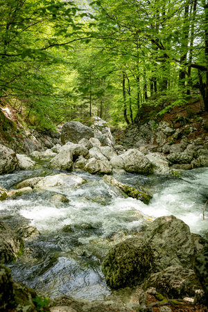 rapids in small river between and rocks in a forestの写真素材