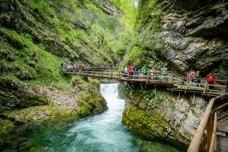 the vintgar gorge in Solvenia, a nature park with waterfalls and green plantsのeditorial素材
