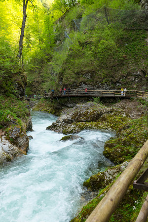 the vintgar gorge in Solvenia, a nature park with waterfalls and green plantsのeditorial素材