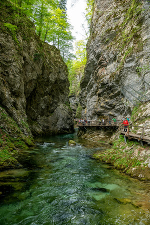 the vintgar gorge in Solvenia, a nature park with waterfalls and green plantsのeditorial素材