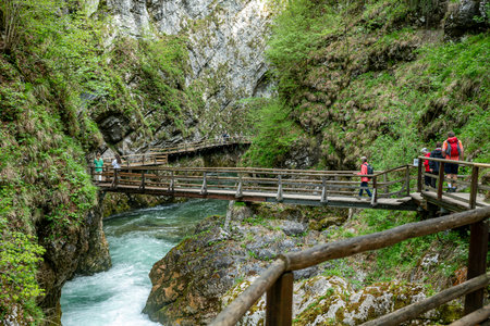 the vintgar gorge in Solvenia, a nature park with waterfalls and green plantsのeditorial素材