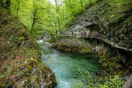 the vintgar gorge in Solvenia, a nature park with waterfalls and green plantsのeditorial素材