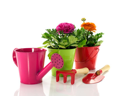 red and green bucket with spring flowersの写真素材