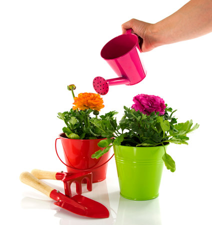 red and green bucket with spring flowersの写真素材