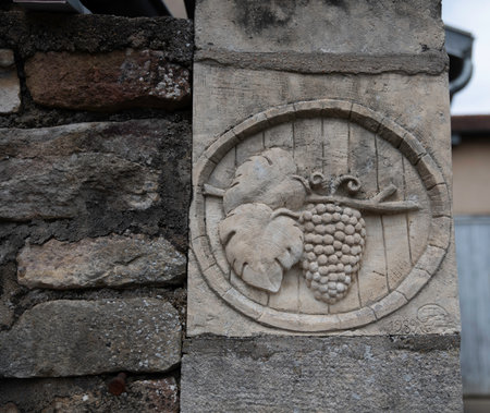 engraving of a bunch of grapes with vine and leaves on a wallの写真素材