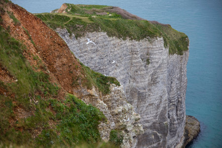 high rocks near etretat in normandy france, with the big cliffs and green fields with the sea as backgroundの写真素材