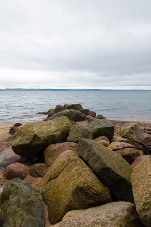 beach with rocks in denmark with lot of green plants and trees trelde naes at the kattegat waterの写真素材