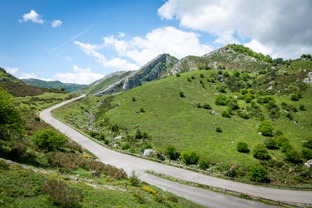 Beautiful landscape showcasing a rural path curving through verdant grass-covered hills, with rocks overhead. in the picos the europa in spainの写真素材