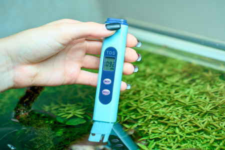 Measuring the TDS of the water in planted aquarium.の写真素材