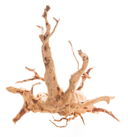 Red moor driftwood for aquarium aquascaping design isolated on the white background.の写真素材