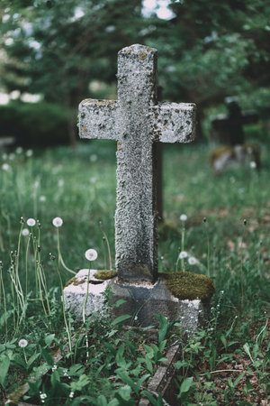 An aged cross gravestone standing in the midst of lush green grass and blooming dandelions creates a...