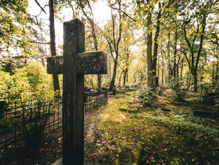A tranquil and serene graveyard is beautifully framed by lush greenery and dappled sunlight filtering through the treesの写真素材