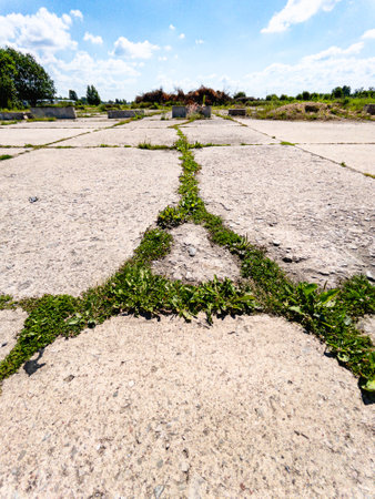 A peaceful and serene view of nature beautifully reclaiming a deserted concrete space beneath a clear blue skyの写真素材