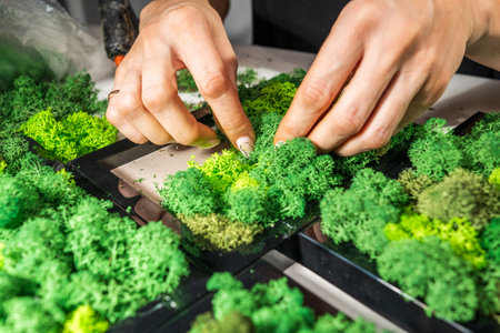 Close-up of woman hands gluing stabilized moss. Process of working with decorative reindeer moss. Concept of modern eco style interior.の写真素材