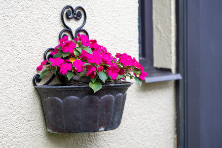 Beautiful blooming flowers on window sill outside of cozy house.の写真素材