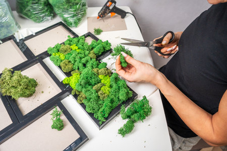 Close-up of woman hands cutting stabilized moss with scissors. Process of working with decorative reindeer moss. Concept of modern eco style interior.の写真素材