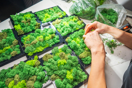 Close-up of woman hands gluing stabilized moss. Process of working with decorative reindeer moss. Concept of modern eco style interior.の写真素材