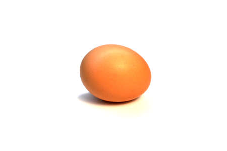 One chicken egg on a white backgroundの写真素材