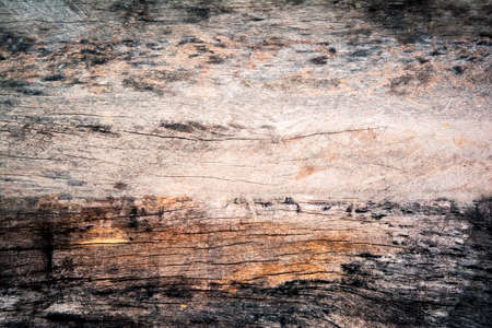 Wood Background Textureの写真素材